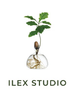 ILEX STUDIO